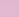 Pink Peony