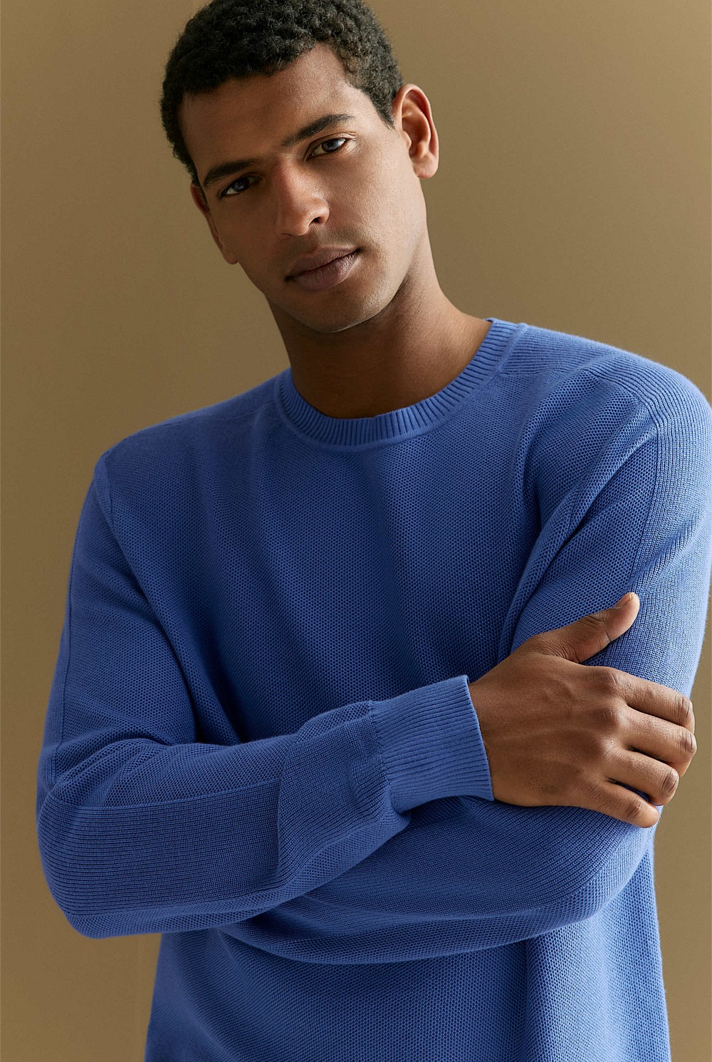 Cotton Textured Knit Crew