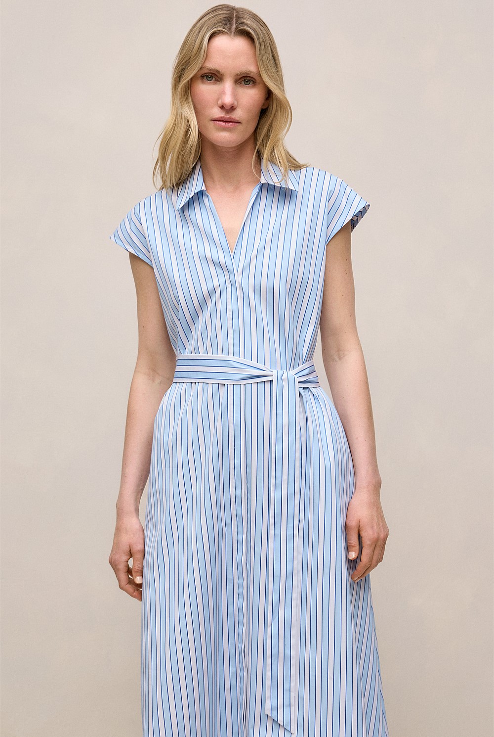 Sateen Regency Stripe Shirt Dress