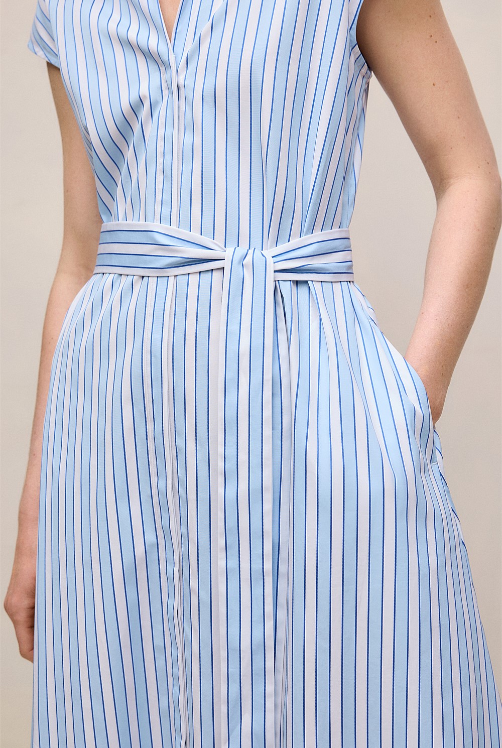 Sateen Regency Stripe Shirt Dress