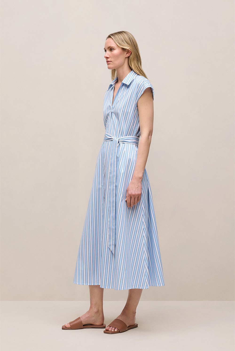 Sateen Regency Stripe Shirt Dress