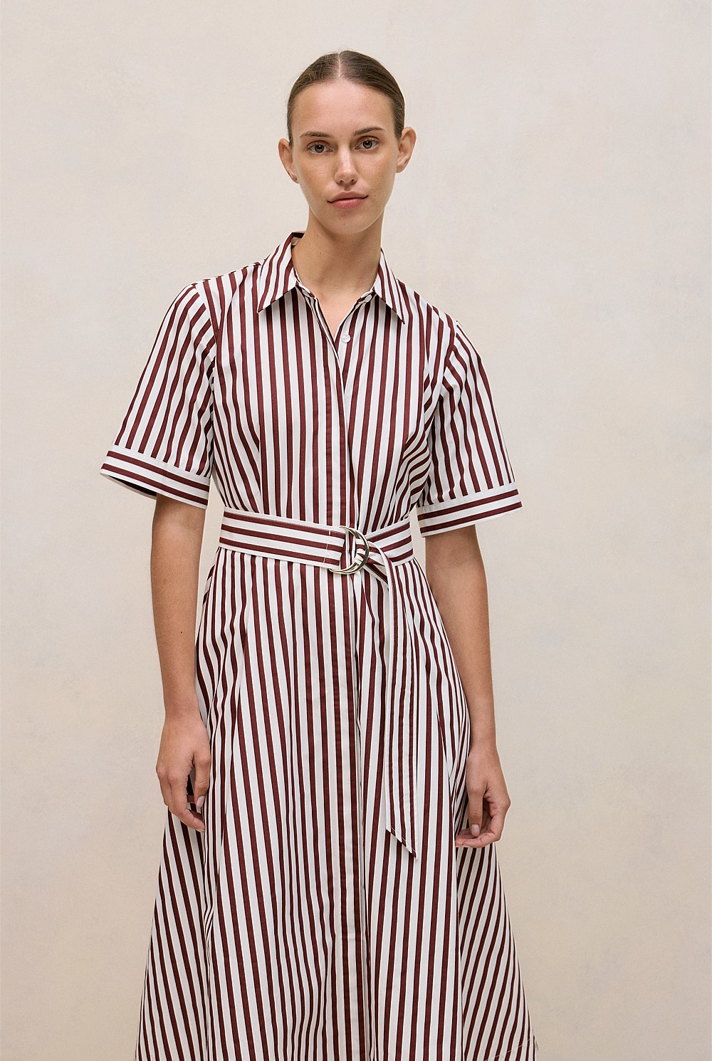 Poplin Stripe Belted Dress