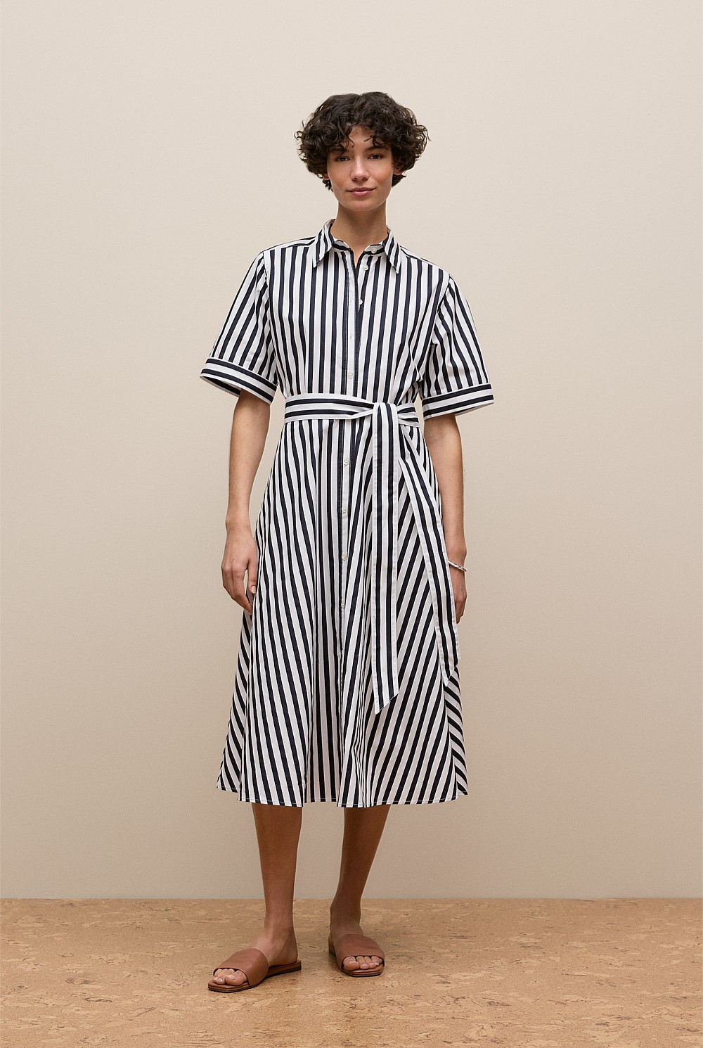 Cotton Poplin Stripe Shirt Dress