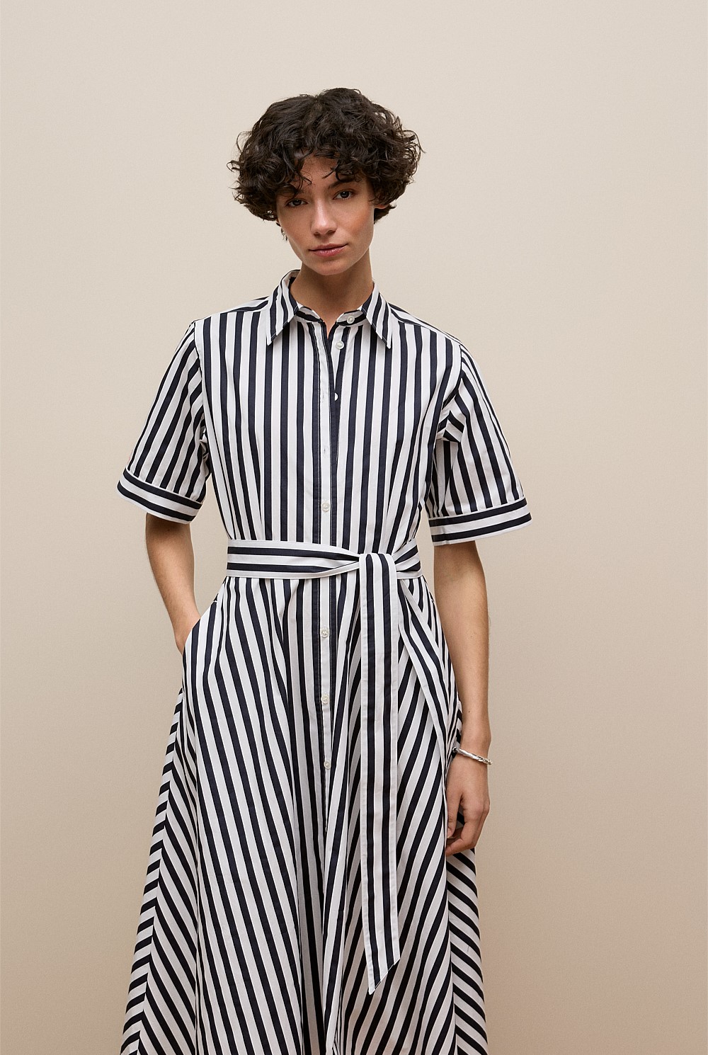 Cotton Poplin Stripe Shirt Dress