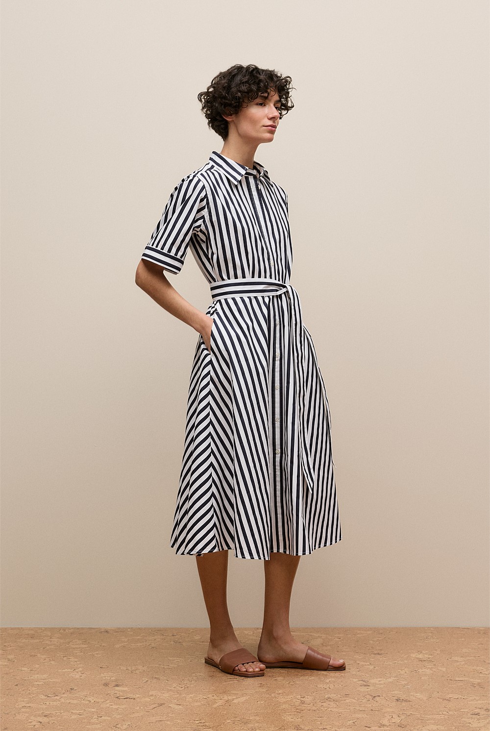 Cotton Poplin Stripe Shirt Dress